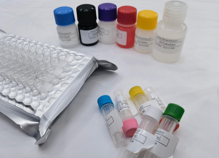 人N末端骨桥蛋白(N-Osteopontin)ELISA试剂盒