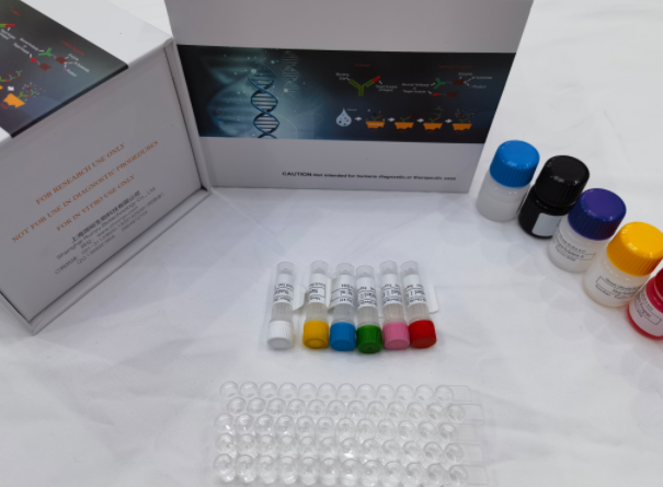 人SHC-转化蛋白1(SHC1)ELISA试剂盒