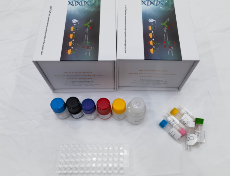 人丙型肝炎病毒核心抗原(HCV-cAg)ELISA试剂盒