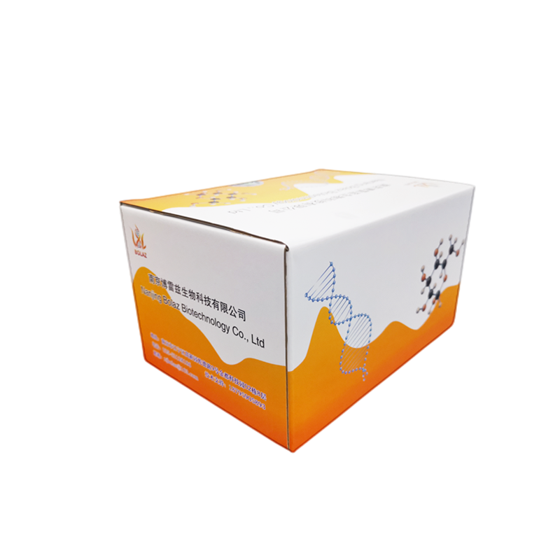 PCR 产物纯化回收试剂盒