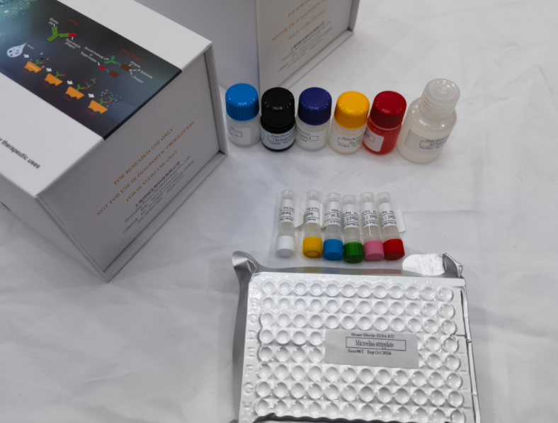 人驱动蛋白家族成员27(KIF27)ELISA试剂盒