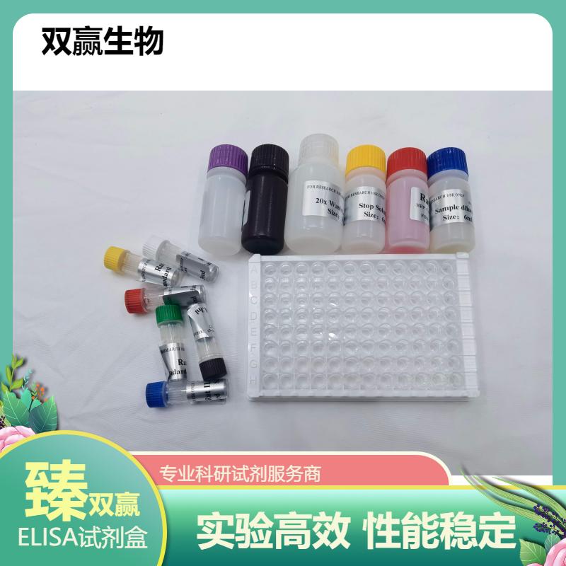 人血管紧张素转化酶抑制剂(ACEI)ELISA试剂盒