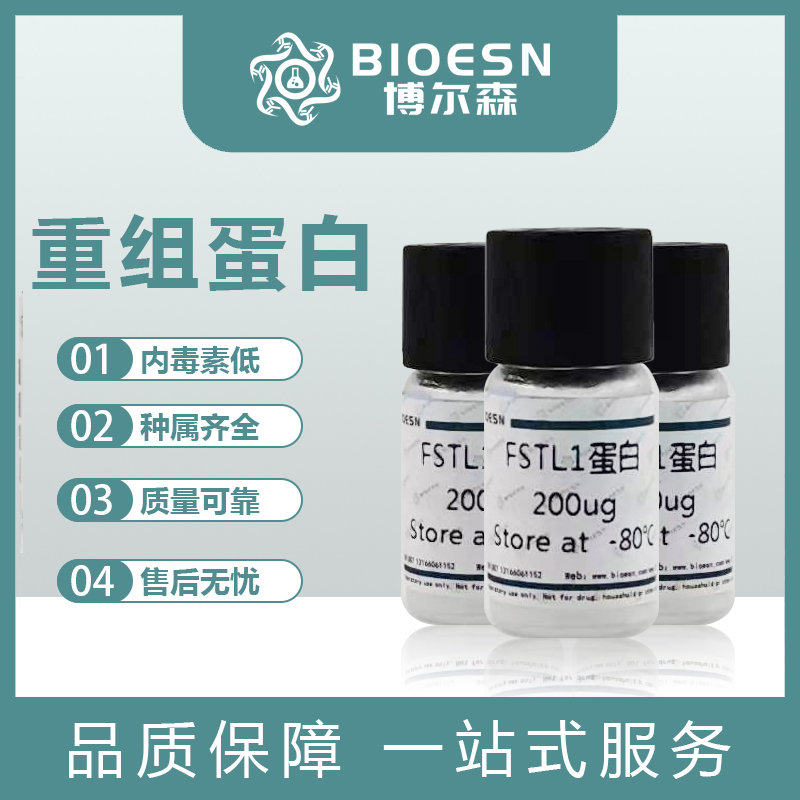 Recombinant Nipah virus G protein/Glycoprotein G Protein, C-His