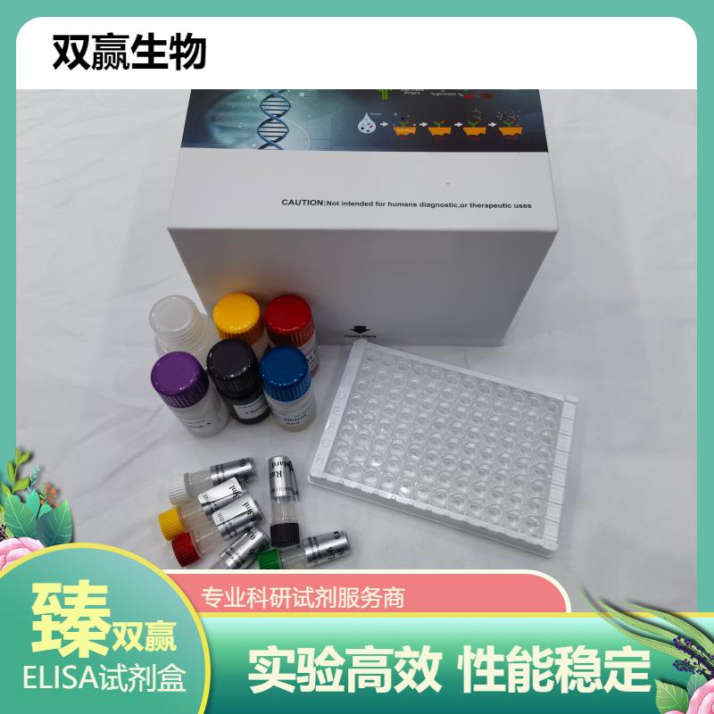 人膜联蛋白-A7(Anxa7)ELISA试剂盒