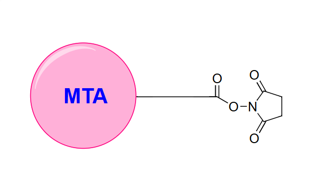 Buccutite MTA 琥珀酰亚胺酯；Buccutite MTA NHS酯；Buccutite MTA, NHS ester