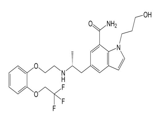 赛洛多辛杂质A  175870-21-0