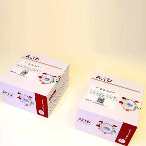 脑类器官分化试剂盒-ACROBiosystems百普赛斯