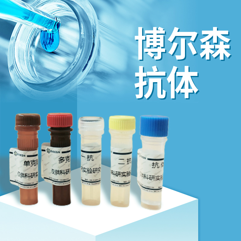 抗尼帕病毒 / 尼帕病毒融合糖蛋白 / F 蛋白三聚体抗体（Fab92）