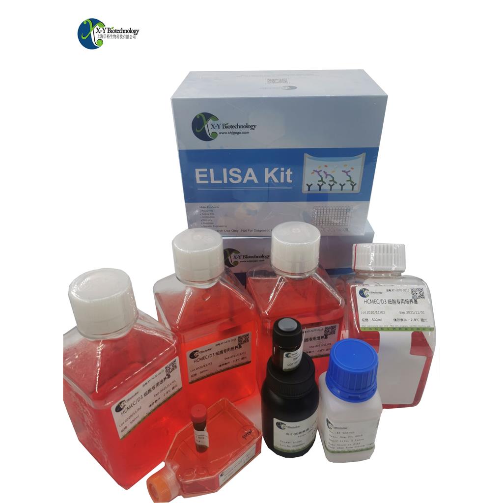 尼帕病毒磷蛋白(Phospho Protein)ELISA试剂盒