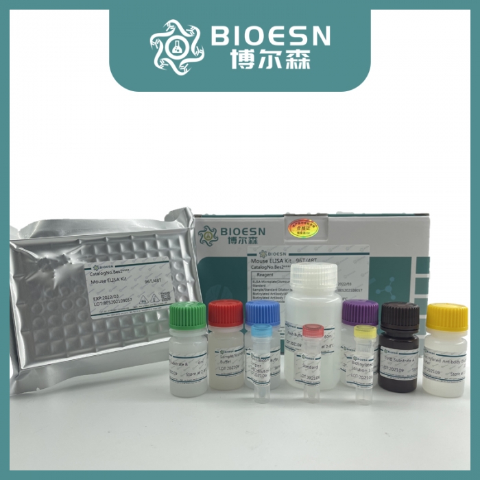 小鼠尼帕病毒糖蛋白(glycoprotein Protein)ELISA试剂盒