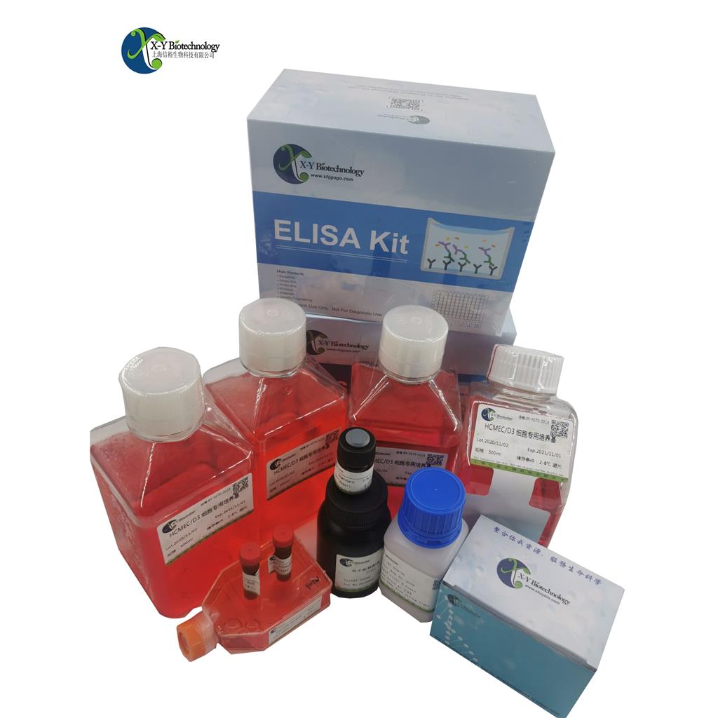 小鼠尼帕病毒融合蛋白(Fusion Protein)ELISA试剂盒