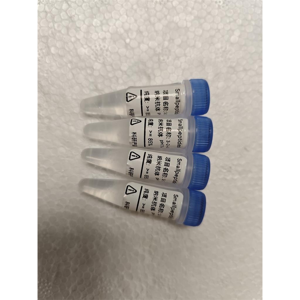 重组抗体/重组羊驼纳米抗体/重组单链抗体/重组人源化抗体