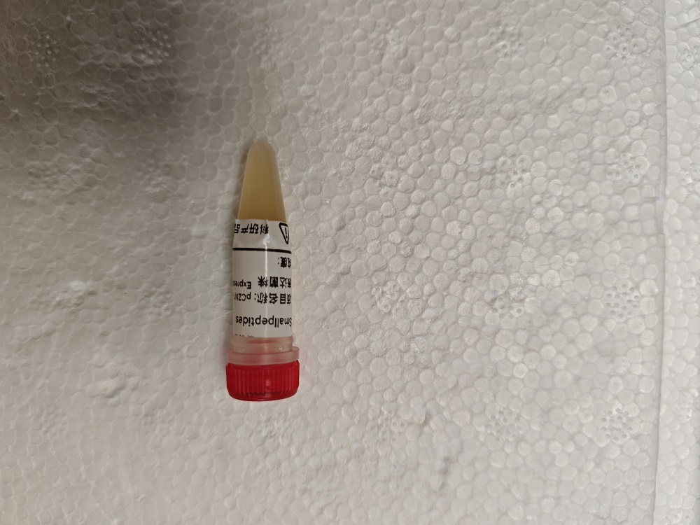 重组抗体/重组羊驼纳米抗体/重组单链抗体/重组人源化抗体