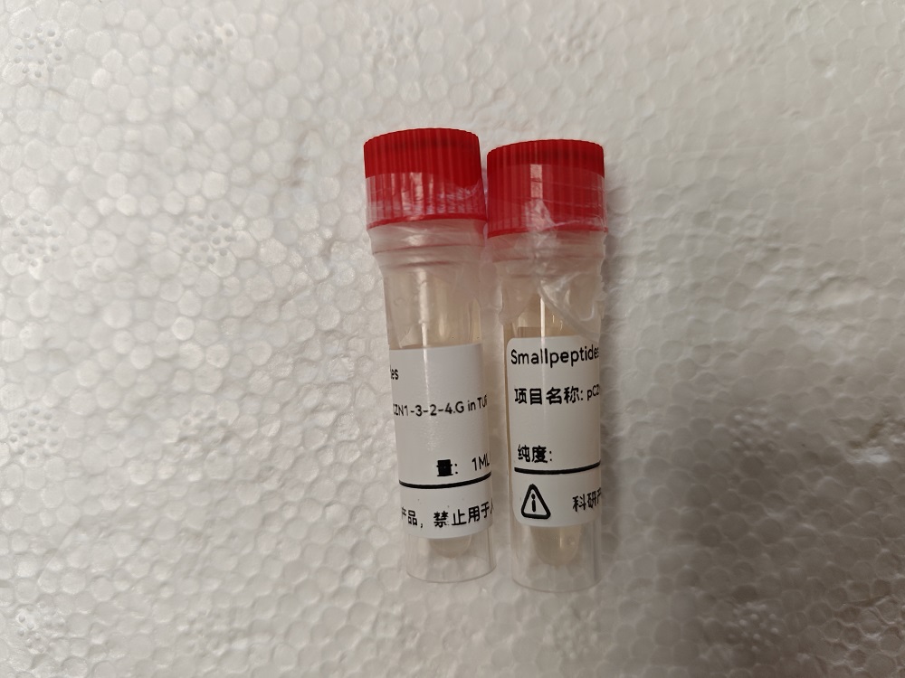 重组抗体/重组羊驼纳米抗体/重组单链抗体/重组人源化抗体