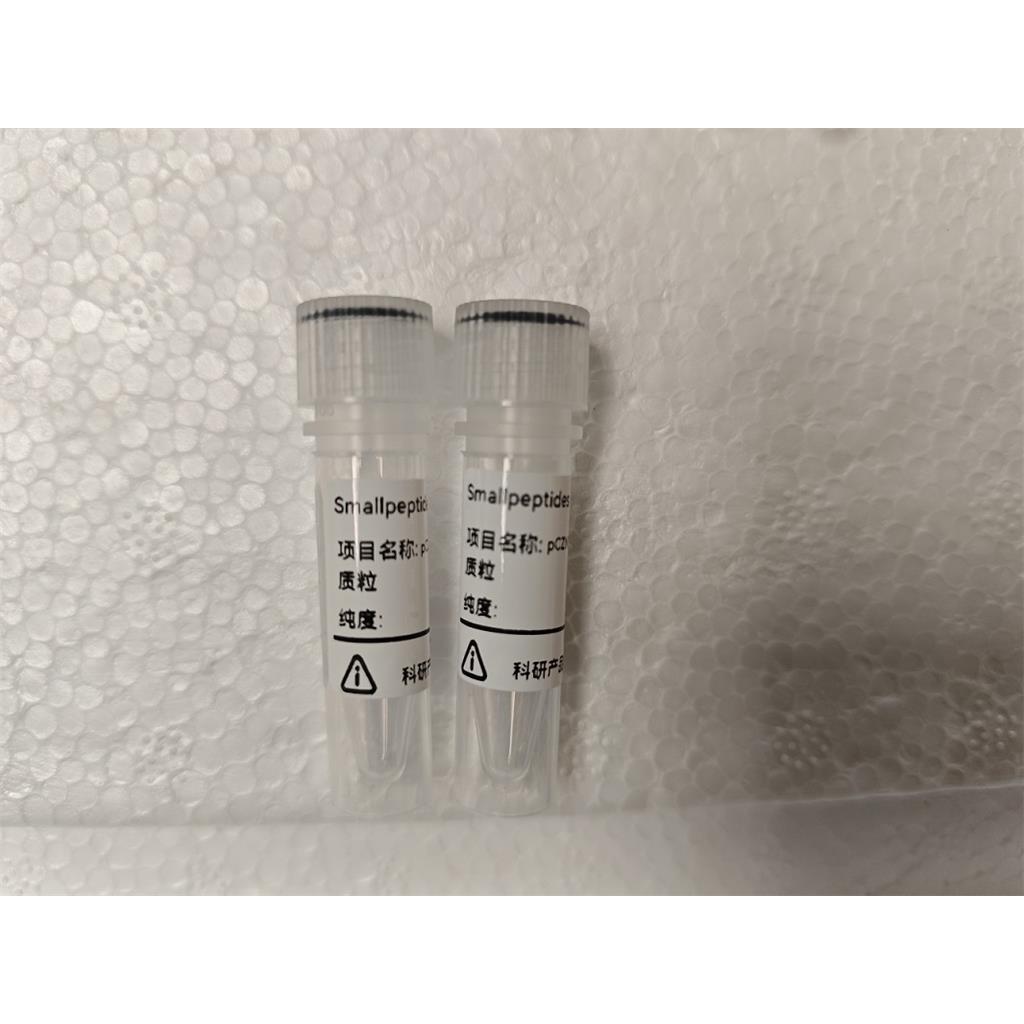 重组抗体/重组羊驼纳米抗体/重组单链抗体/重组人源化抗体