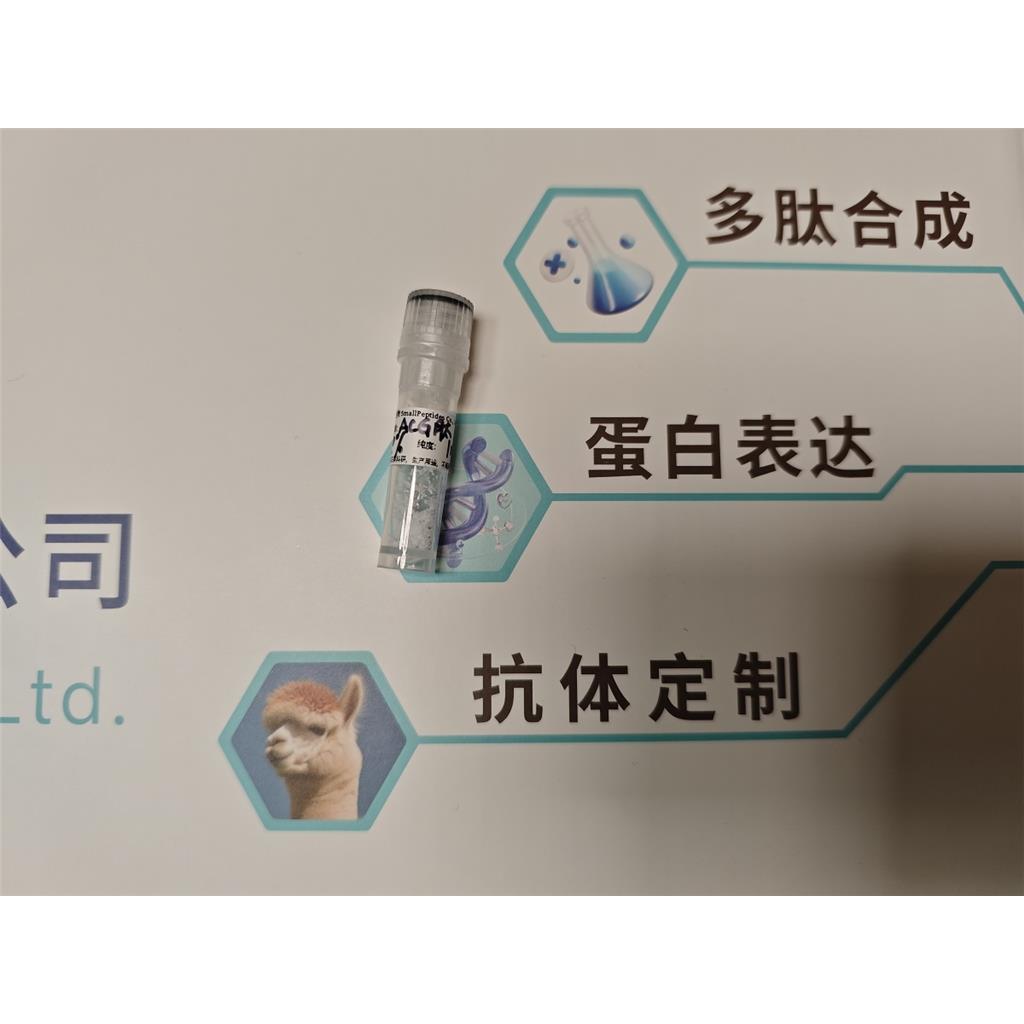 PYY多肽合成，多肽定制