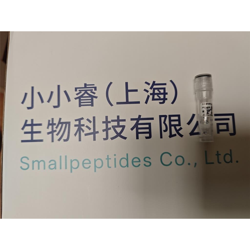 PYY多肽合成，多肽定制