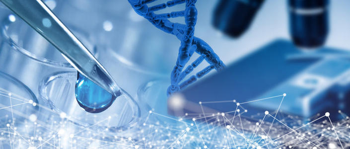 链霉亲和素磁珠