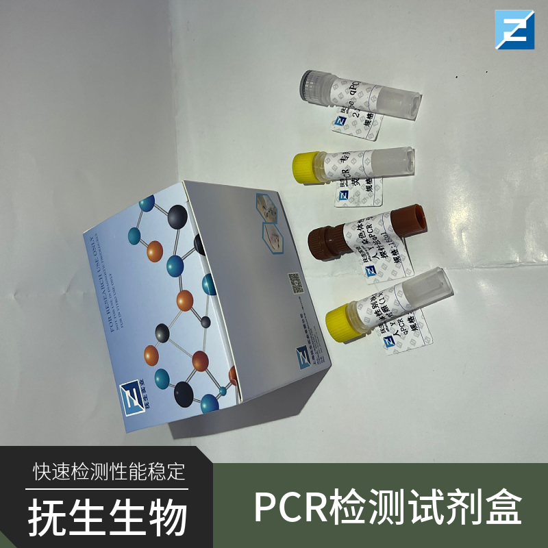 乙型流感病毒 Victoria 系核酸检测试剂盒