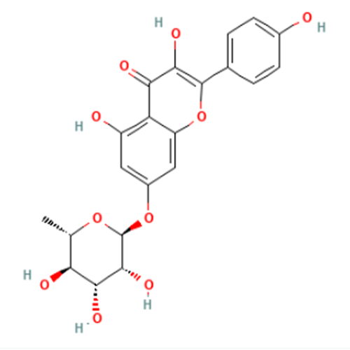 aladdin 阿拉丁 K646721 山奈酚-7-O-鼠李糖苷 20196-89-8 Moligand?, ≥99%