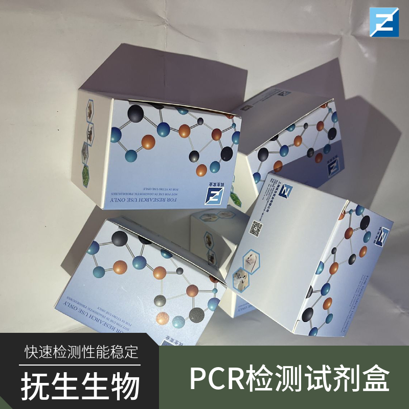 近平滑假丝酵母核酸检测试剂盒