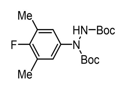 1-(4-氟-3,5-二甲基苯基)肼-1,2-二甲酸二叔丁酯  2212021-55-9