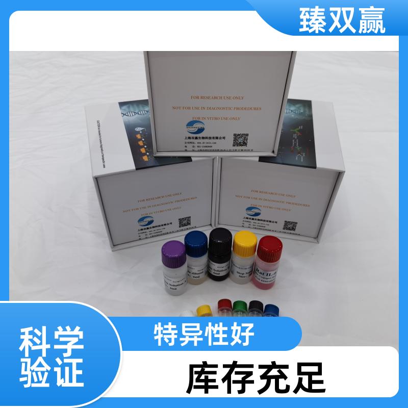 人β位淀粉样前体蛋白裂解酶1(BACE1)ELISA试剂盒