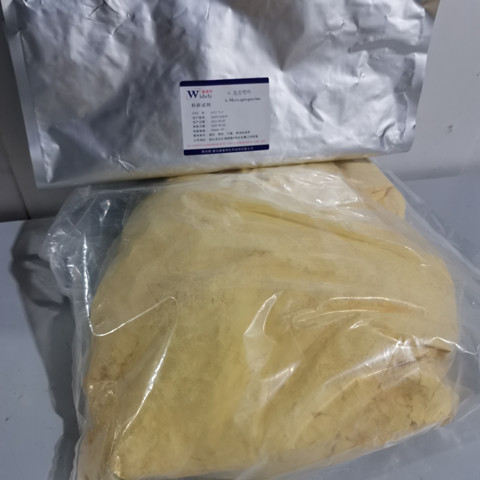 亚胺培南一水物合物74431-23-5科研试剂
