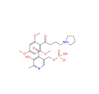 磷酸吡哆醛丁咯地尔