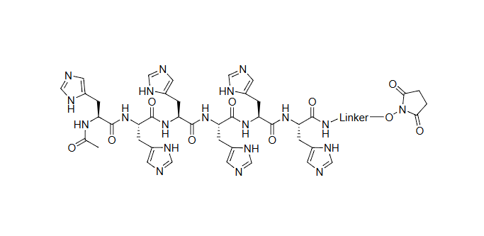 6His 琥珀酰亚胺酯，6His NHS酯，6His NHS ester，6His Succinimidyl Ester