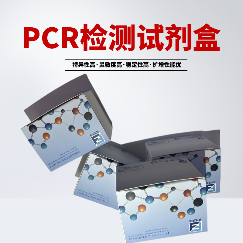 尼帕病毒核酸检测试剂盒