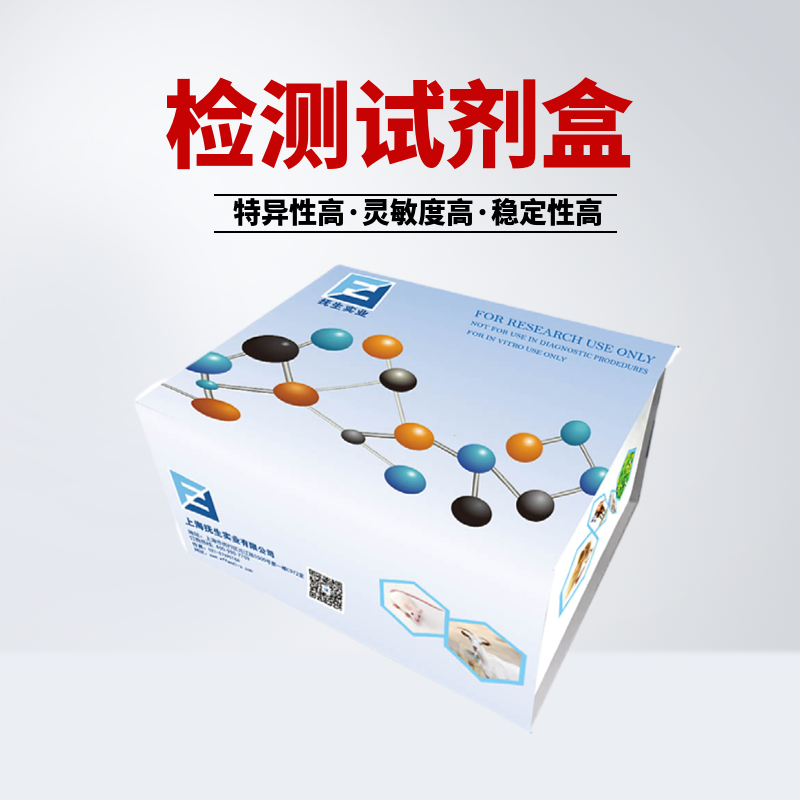 沙眼衣原体核酸检测试剂盒