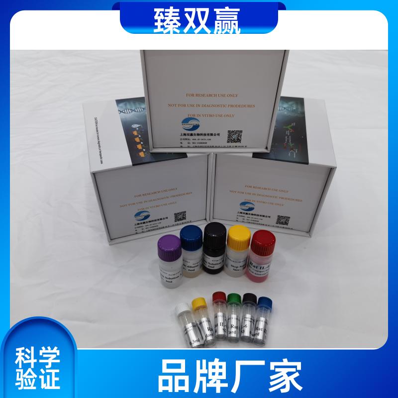 人生长分化因子3(GDF3/UNQ222/PRO248)ELISA试剂盒