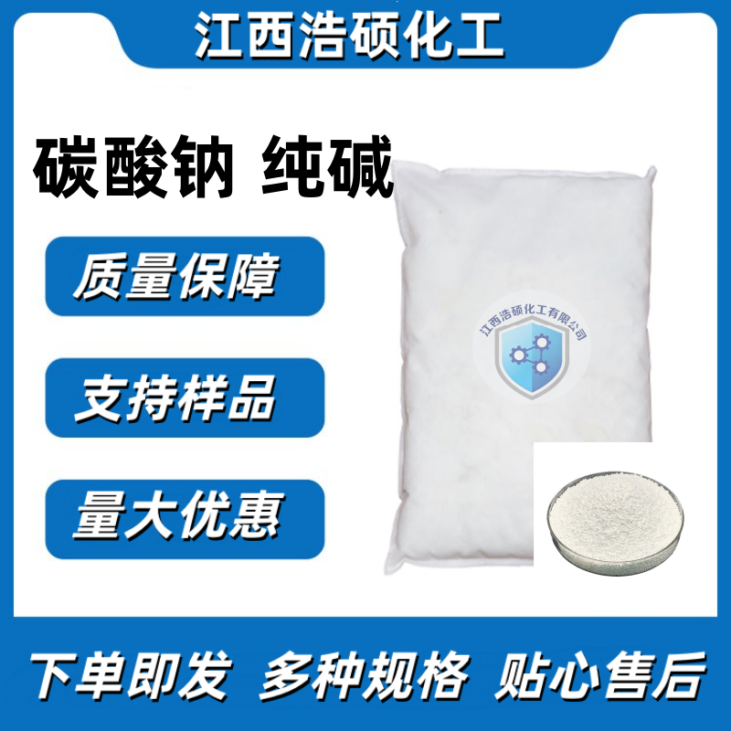 碳酸钠 497-19-8 