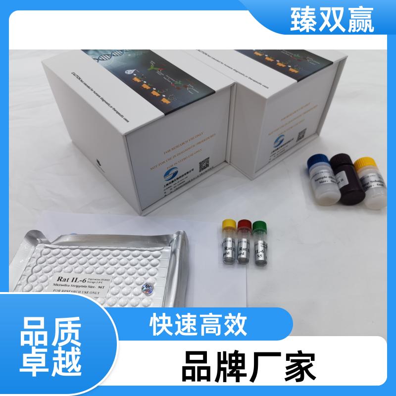 人白介素13(IL-13)ELISA试剂盒