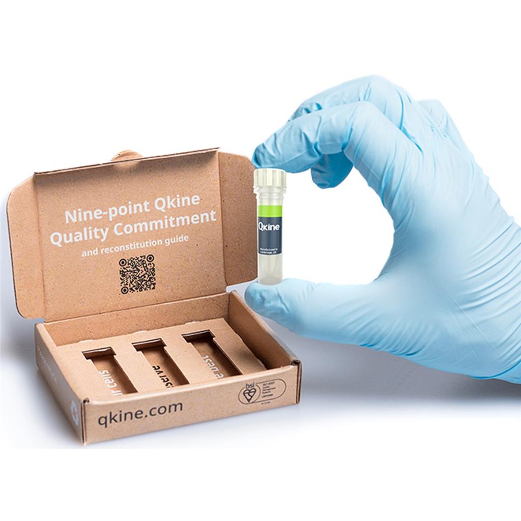 Qkine细胞因子｜重组人蛋白RSPO1-Qk006-0025