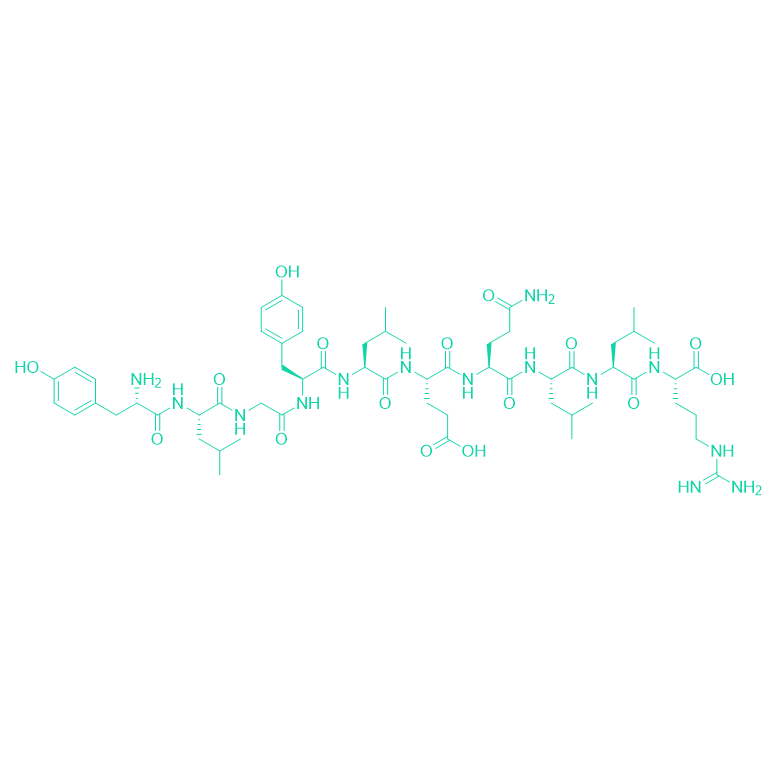 α-酪蛋白片段多肽