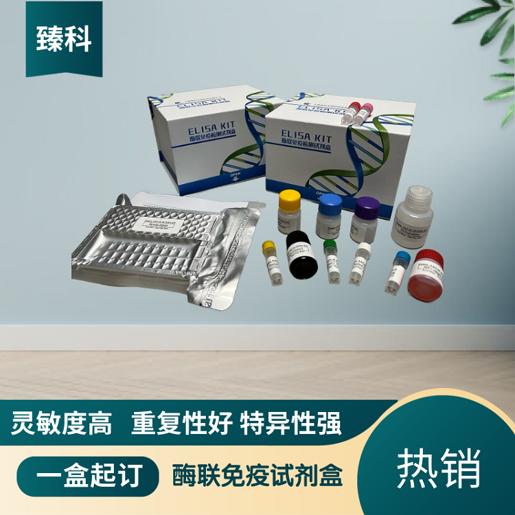 人6酮前列腺素F1a(6-keto-PGF1a）ELISA试剂盒