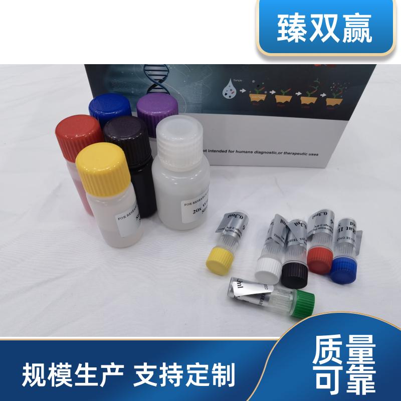 鱼类主要组织相容性复合体（MHC）ELISA试剂盒