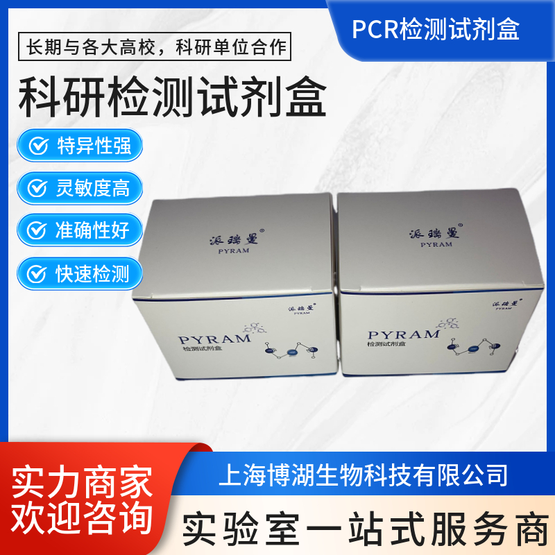 炭疽芽孢杆菌染料法荧光定量PCR试剂盒