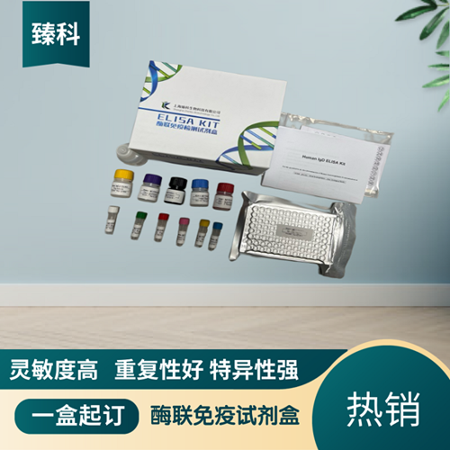 人白介素18(IL-18）ELISA试剂盒