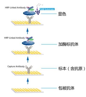 1111111.png 1111111.png