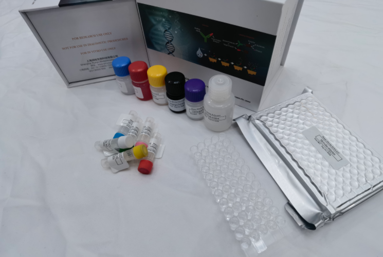 人可溶性白介素6受体(sIL-6R;CD126)ELISA试剂盒