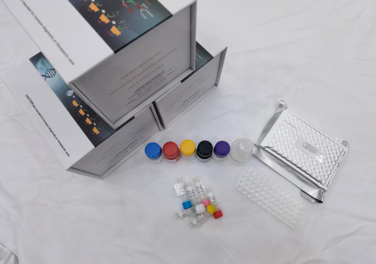 人可溶性白介素6受体(sIL-6R;CD126)ELISA试剂盒