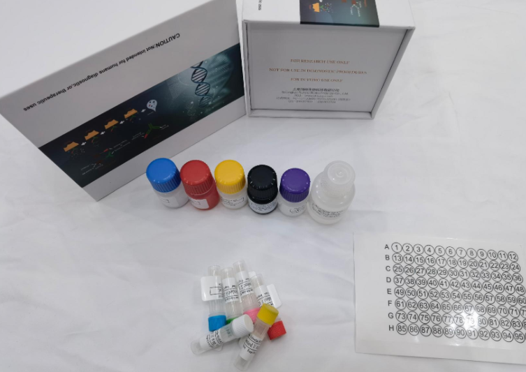 人白介素3受体α(IL-3Rα)ELISA试剂盒