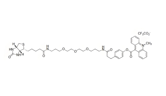 10XHis 琥珀酰亚胺酯；10XHis NHS酯，10XHis Succinimidyl Ester