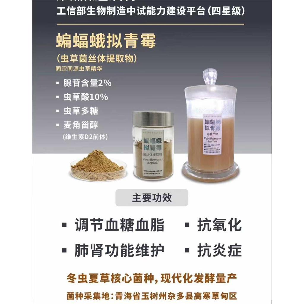 蝙蝠蛾拟青霉菌丝体粉 食药同源原料 虫草腺苷≥0.5% 标准化提取 原料直供