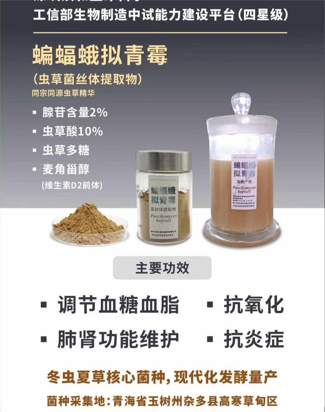 蝙蝠额拟青霉产品.jpg 蝙蝠额拟青霉产品.jpg