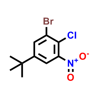 1-溴-2-氯-5-叔丁基-3-硝基苯