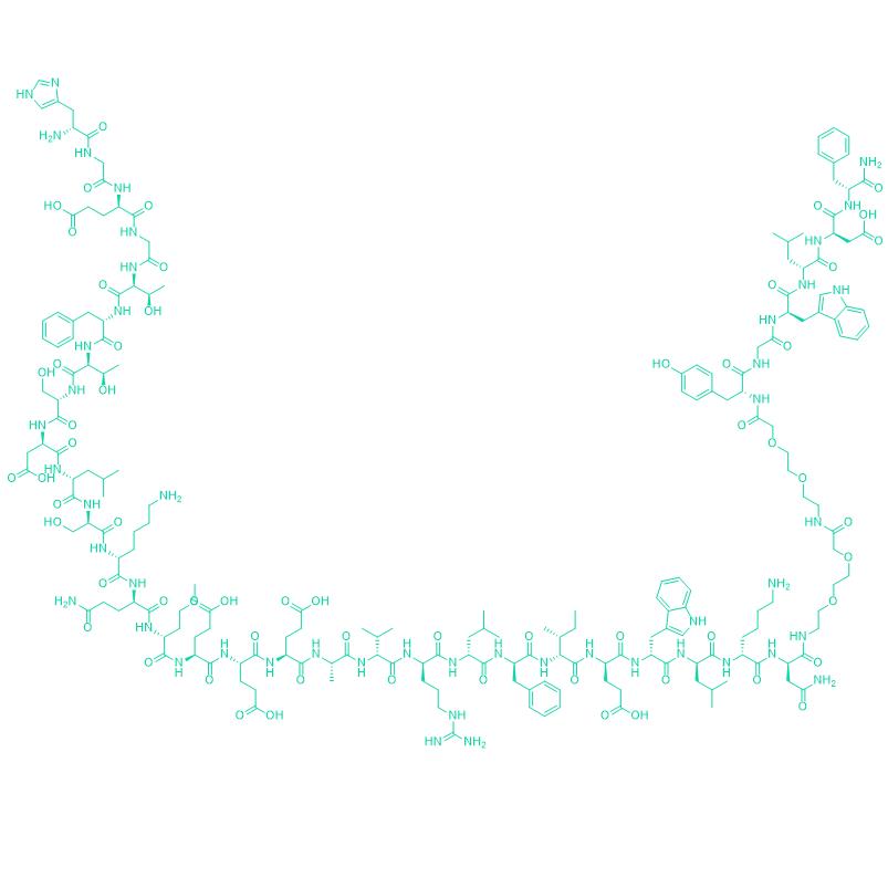 218P999 ZP3022 1345835-12-2.png 218P999 ZP3022 1345835-12-2.png